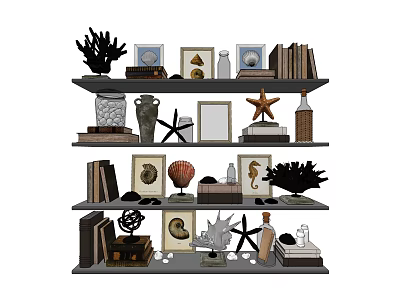 Decorative Ornaments Collection On Multi Tiered Shelf With Seashells Starfish Picture Frames And Books 3d model