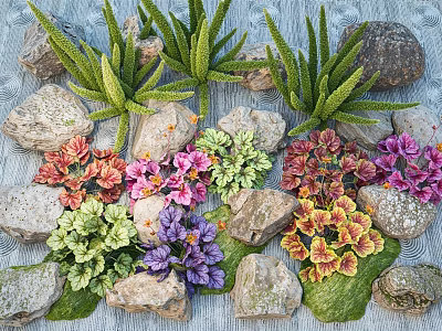Colorful Flowers and Plants Arrangement With Various Stones and Natural Greenery 3d model