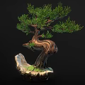 Wooden Bonsai Tree with Curved Trunk Green Leaves Stone Base and Grass Accent Decor