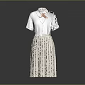 Women's Dress with Shirt Collar Short Sleeves and Pleated Skirt Design