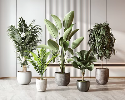 Modern potted potted potted potted combination 3d model Modern potted potted potted potted combination 3d model