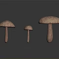 Three Mushroom Plants with Brown Spotted Caps and Stems in Various Sizes on White Background