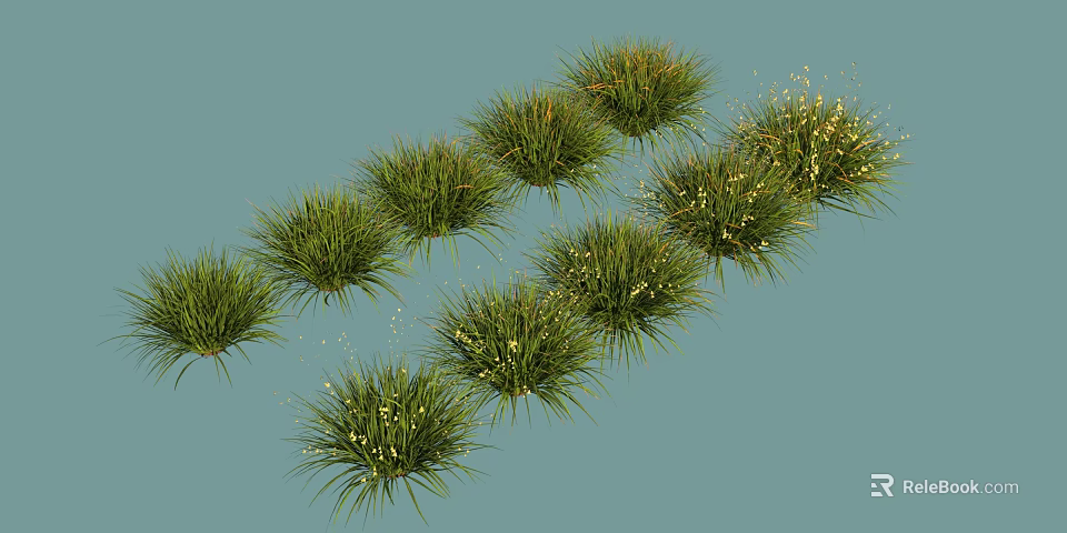 Lush Green Grass Plants With Small White Flowers In Natural Arrangement 3d model 