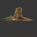 Modern Natural Scene With Tree Stump Green Plants And Moss Covered Ground