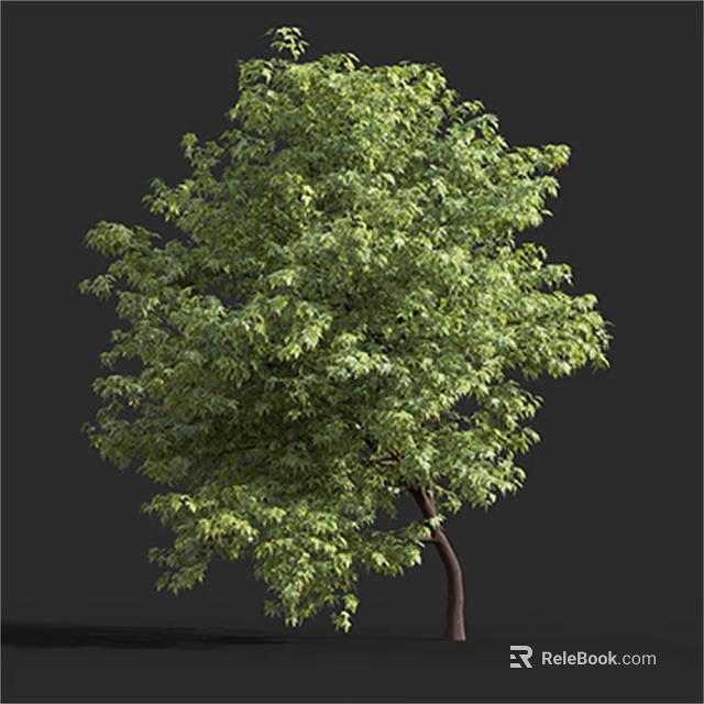 Lush Green Foliage Single Tree With Brown Trunk And Dense Branches 3d model 