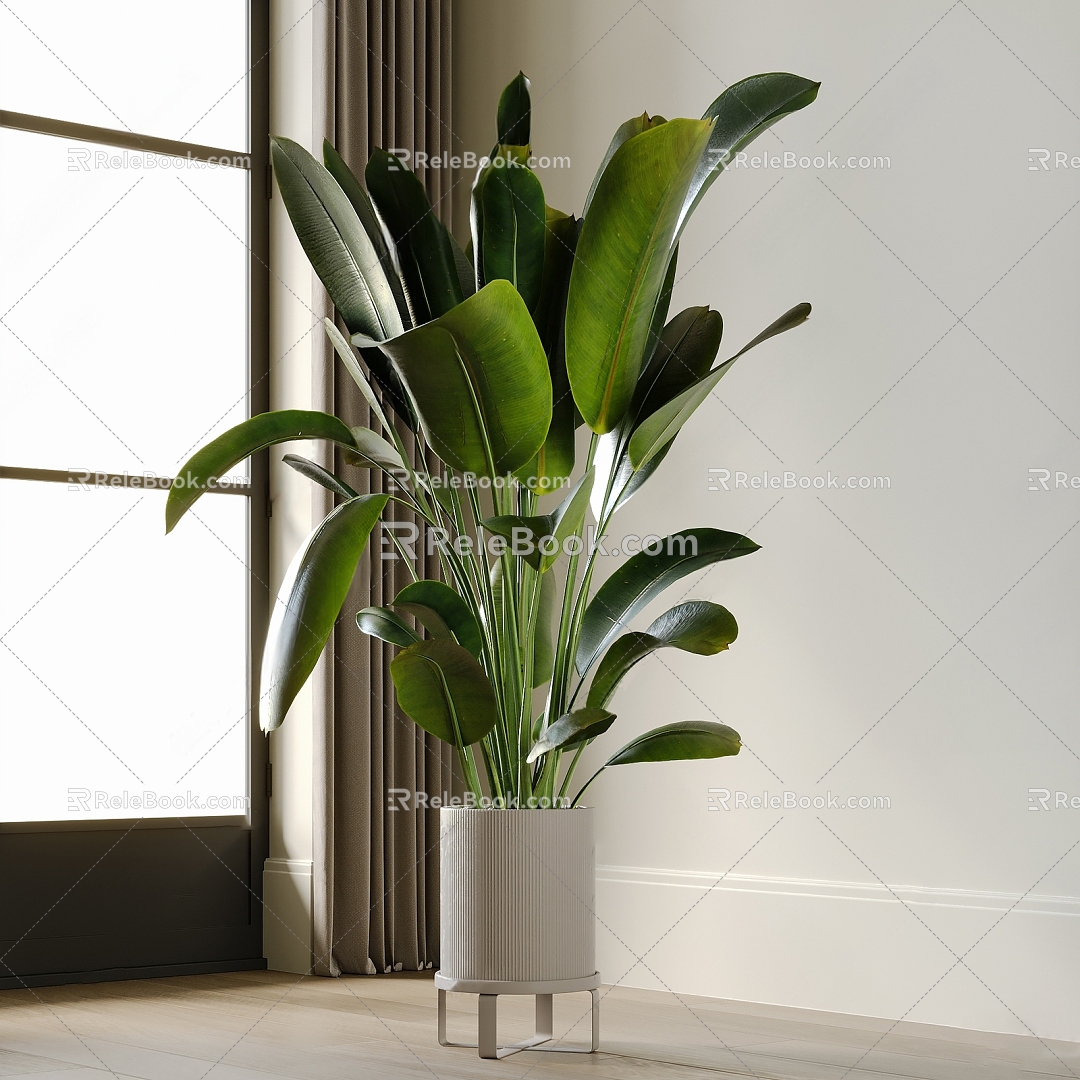 potted plant 3d model