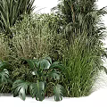 Modern Plant Heap 3d model