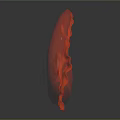 Red Curved Organ Model With Hair Components Displaying Anatomical Structure Details