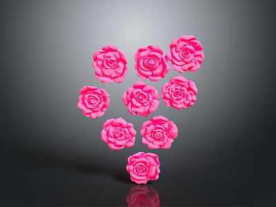Pink Roses Arranged in Heart Shape on Dark Background with Reflection 3d model