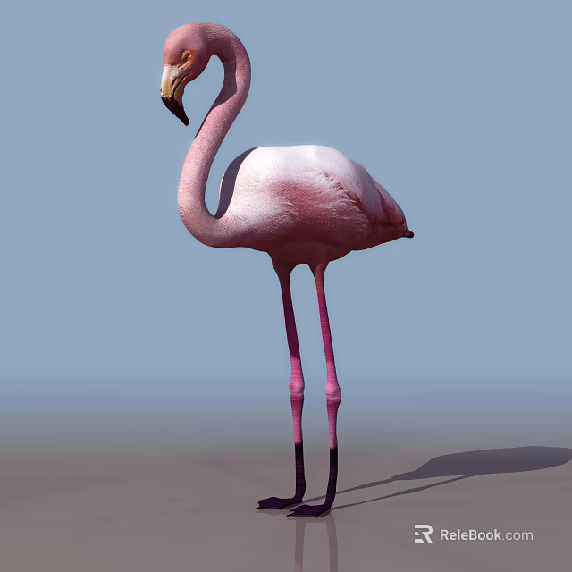 Pink Flamingo With Long Legs Standing On Sandy Ground Under Light Blue Sky 3d model 