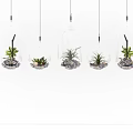 Set of Transparent Glass Hanging Planters with Green Plants for Modern Interior Decor