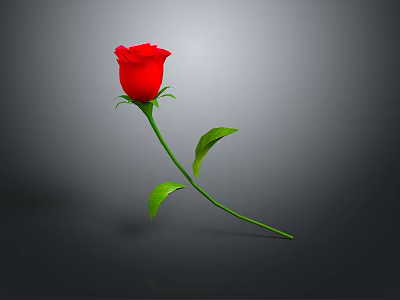 Red Rose With Green Stem And Leaves On Gray Background 3d model