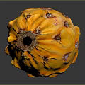 Fresh Yellow Dragon Fruit With Spiky Red Spikes On Dark Background