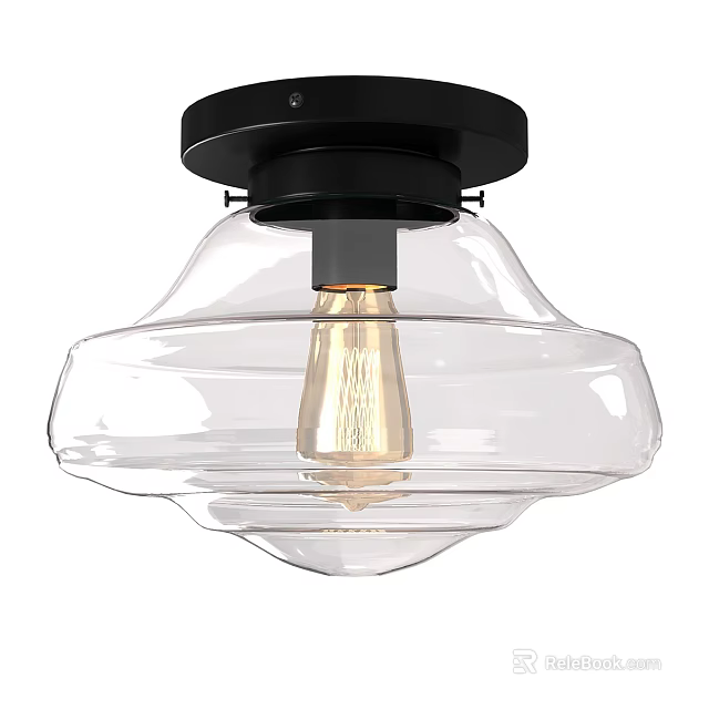 Sleek Flush Mount Ceiling Light with Black Base and Transparent Glass Shade Design 3d model 