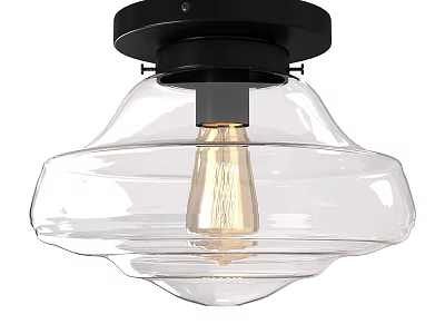 Sleek Flush Mount Ceiling Light with Black Base and Transparent Glass Shade Design 3d model