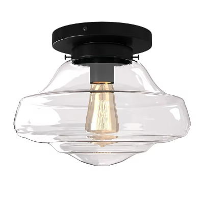 Sleek Flush Mount Ceiling Light with Black Base and Transparent Glass Shade Design 3d model