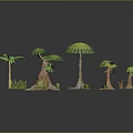 Different Types of Green Plants Including Tropical Trees and Small Grass
