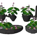 Fish Tank Aquarium with Lotus Flowers Leaves and Oval Containers for Aquatic Plants