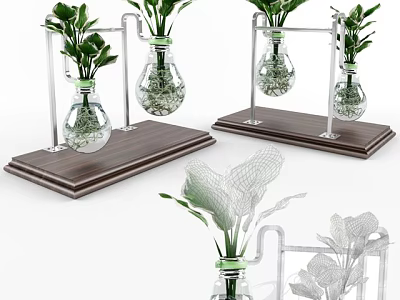Stylish Bonsai Plants In Glass Bottles With Metal Stands And Wooden Bases 3d model