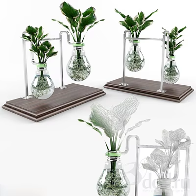 Stylish Bonsai Plants In Glass Bottles With Metal Stands And Wooden Bases 3d model