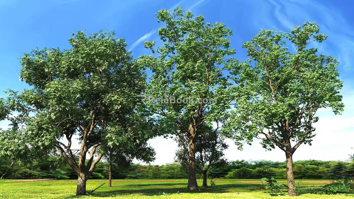 Tall arbors Trees Big Trees Big Trees Garden Trees Greening Trees Landscape Trees 3d model