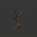 Withered Tree with Exposed Roots and Dry Branches on Dark Background