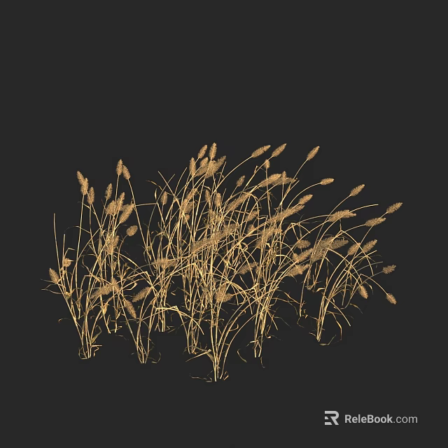 Golden Grass with Wispy Stems in Natural Form Against Black Background 3d model 