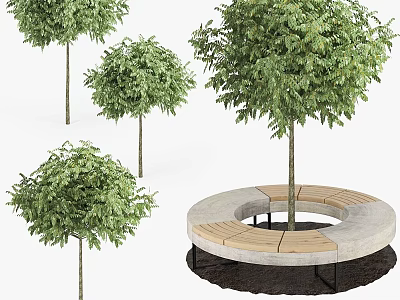Outdoor Garden Decor With Circular Stone Wood Bench And Green Trees 3d model