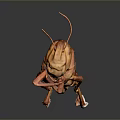 Brown Grasshopper In Natural Pose Isolated On Dark Background With Texture 3d model