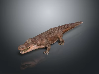 Crocodile 3D Model With Open Mouth Sharp Teeth And Realistic Scales On Gray Background 3d model
