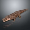 Crocodile 3D Model With Open Mouth Sharp Teeth And Realistic Scales On Gray Background
