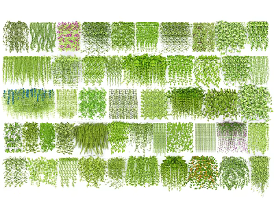 Various Types of Lush Green Decorative Vines for Garden and Interior Use 3d model