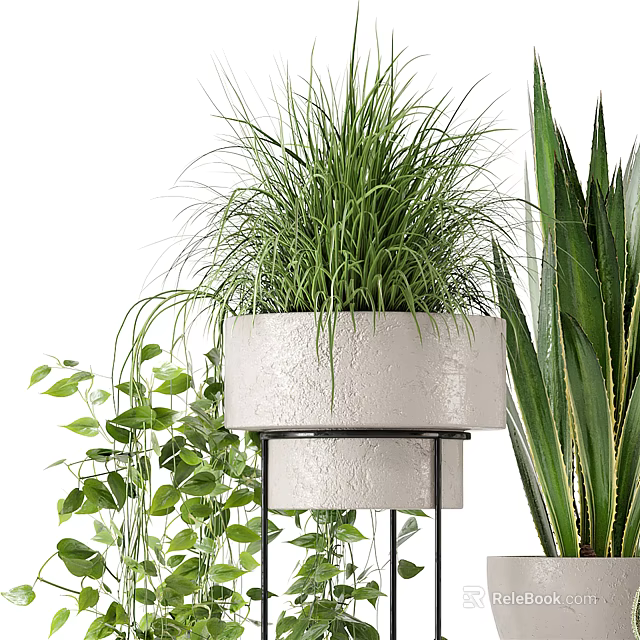 Bonsai Potted Plant in White Textured Pot on Black Metal Stand with Green Leaves 3d model 