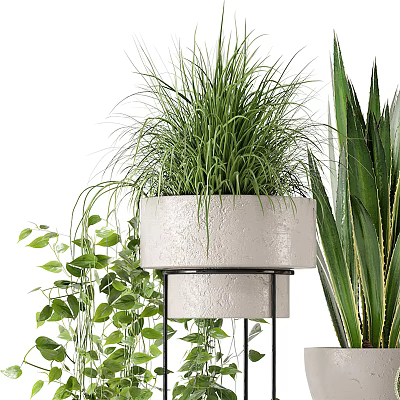 Bonsai Potted Plant in White Textured Pot on Black Metal Stand with Green Leaves 3d model