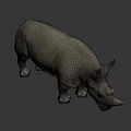 Detailed Realistic 3D Rhinoceros Model With Horns Standing On Black Background