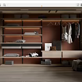 Modern Walk in Closet Design With Wooden Shelves Hanging Clothes Folded Clothes And Storage Boxes