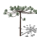 Tree 3d model