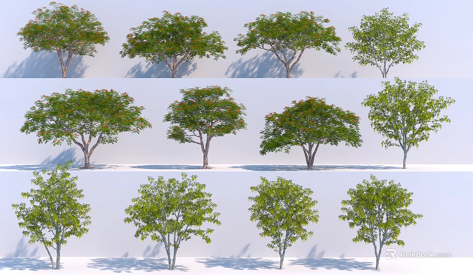 Various Arbor Trees With Different Shapes And Lush Green Foliage Casting Shadows 3d model