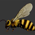 Bee With Yellow And Black Stripes Transparent Wings Front View On Dark Background