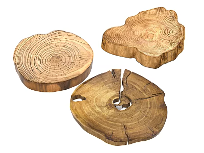 Natural Wooden Tree Stump Slices With Visible Tree Ring Patterns For Rustic Decor 3d model