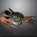 Vibrant Crab With Large Red Claws And Colorful Shell On Dark Background 3d model