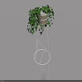 White Swing Door Design With Metal Plant Stand And Green Potted Plant