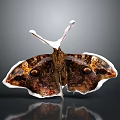 Unique Butterfly With Brown Patterned Wings White Edges And Eyespots On Dark Background 3d model