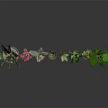 Various Types of Potted Houseplants in Colorful Pots on Black Surface with Gray Background