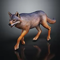 Realistic 3D Rendered Wolf with Gray Brown Fur Walking on Dark Background and Reflection 3d model