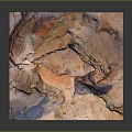 Natural Garden Landscape Featuring Orange Pink Blue Hues And Undulating Textured Terrain