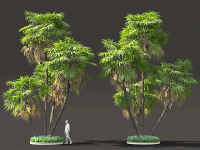 Tall Green Shrubs With Lush Leaves Small Plants At Base And Person Walking 3d model