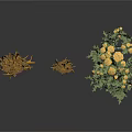 Three Plant Models Featuring Brown Rhizome Organs And Hair Like Branches With Green Flowering Plant