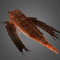 Orange Red Fish With Dark Spots And Large Fins Distinctive Appearance