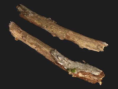Natural Wooden Logs With Stone Like Bark Texture And Rough Surface Design 3d model